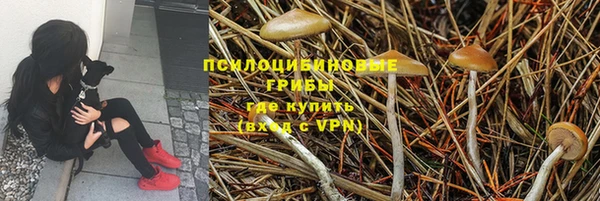 соль ск Бронницы