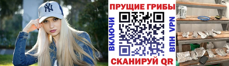 Псилоцибиновые грибы Magic Shrooms Купить Верхоянск